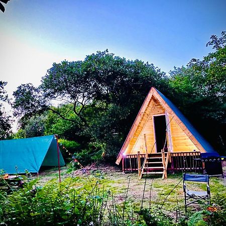 ホテル Robin Goch Retreat カーマーゼン エクステリア 写真