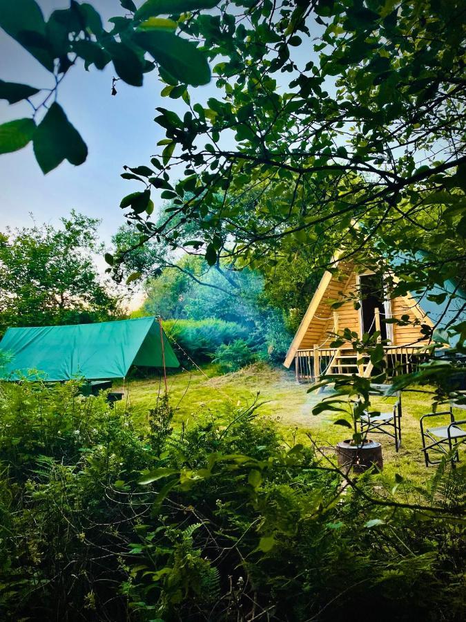 ホテル Robin Goch Retreat カーマーゼン エクステリア 写真
